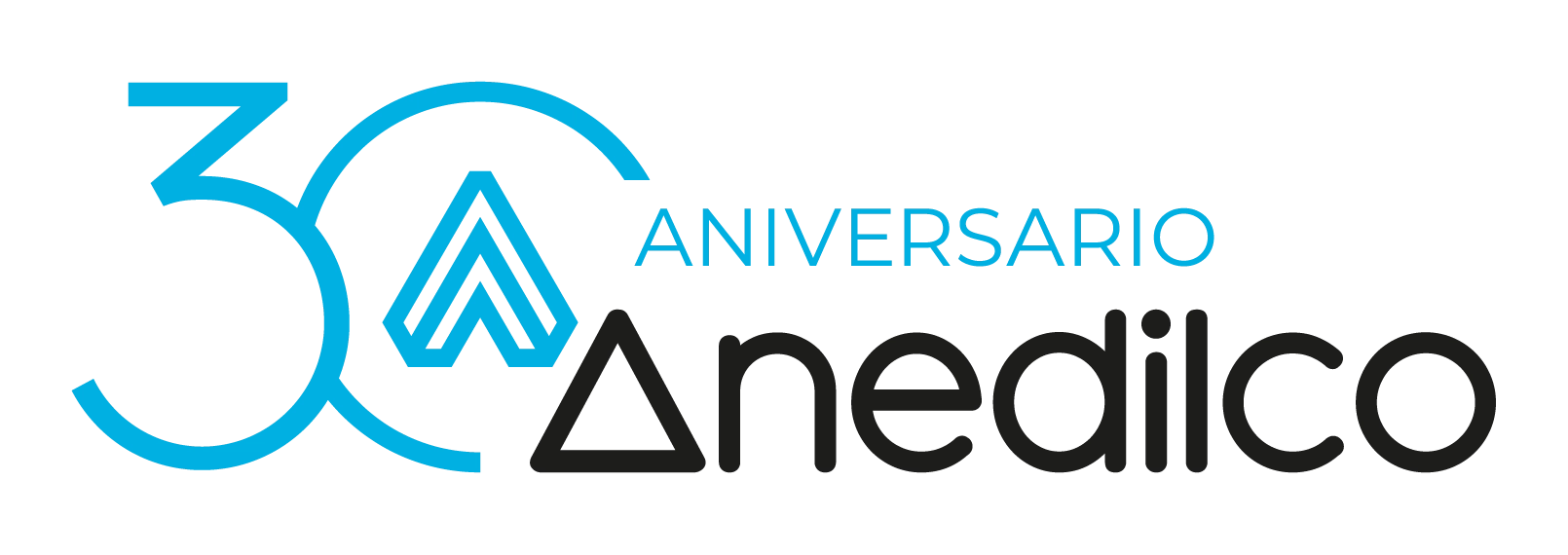 ANEDILCO S.L.