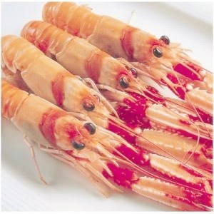 CIGALA ESCOCIA 11/15. Nº1. 4x1,250 (1,5B)