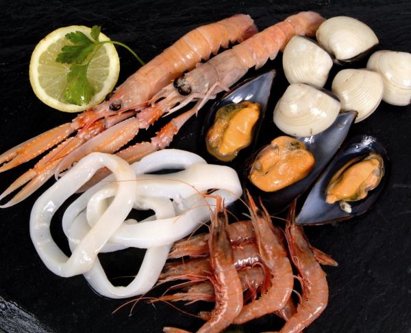 PREPARADO DE PAELLA MARISCOS 1x4 ANEDILCO